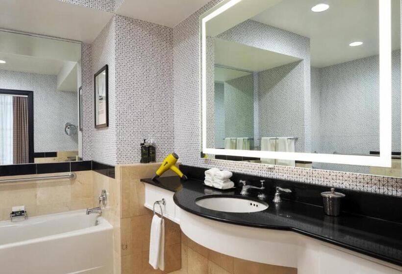 标准间, Hyatt Centric Downtown Minneapolis