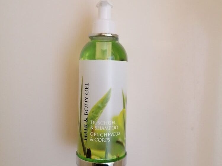 غرفة قياسية ثلاثية, Logis Hôtel Louise De Savoie