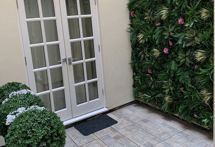 スタンダードルーム, The Omega