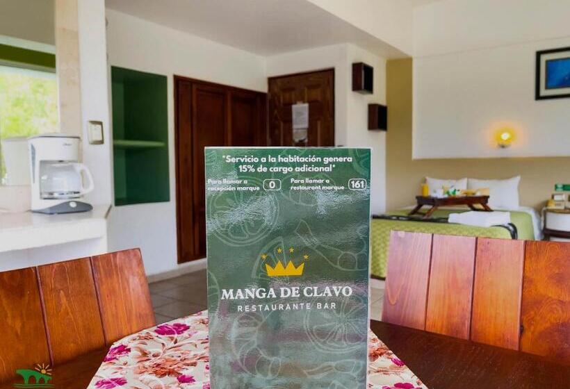 סוויטת ג'וניור, Puente Nacional  & Spa