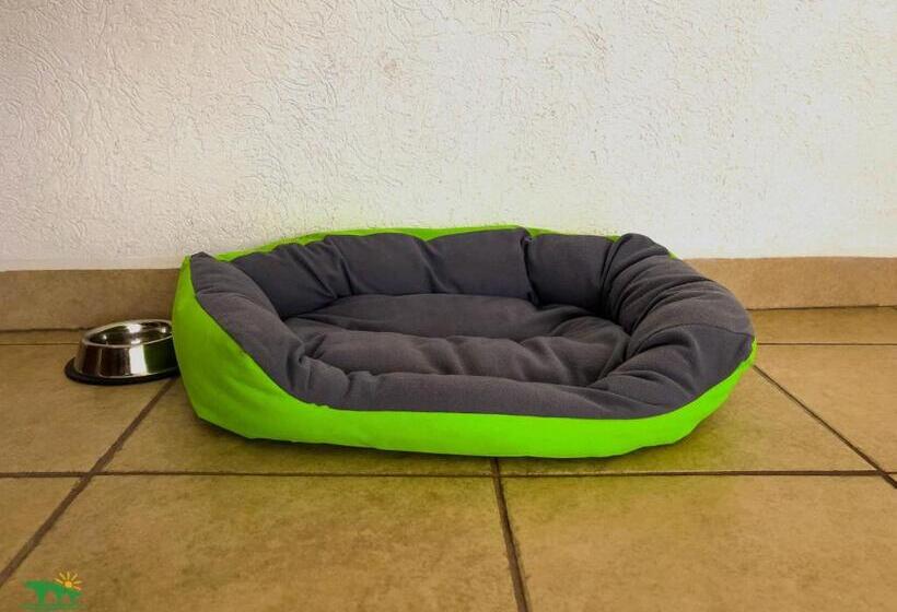 חדר דלוקס, Puente Nacional  & Spa