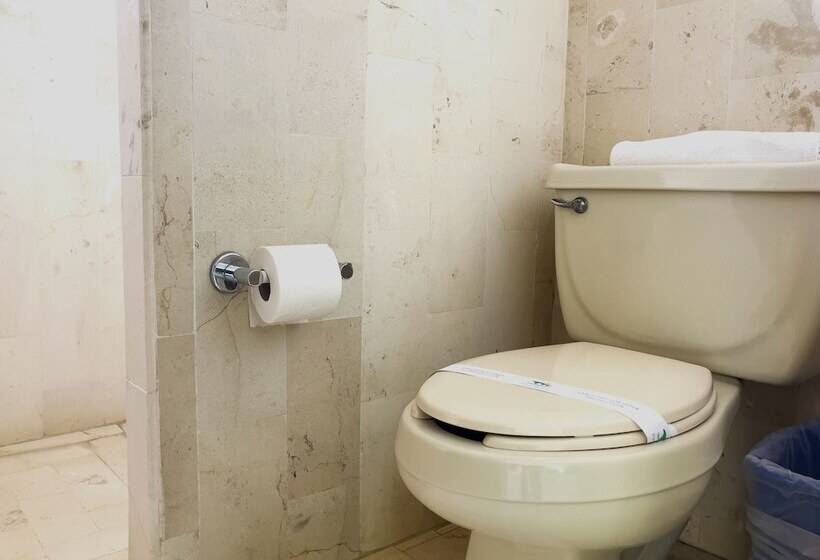 חדר סטנדרט, Puente Nacional  & Spa