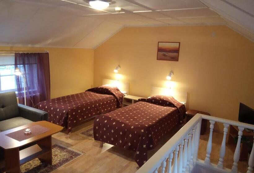 اتاق استاندارد, Repo