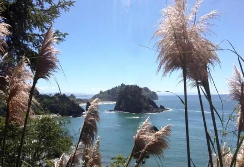 キングサイズベッドのスタンダードルーム, Trinidad Bay Bed And Breakfast