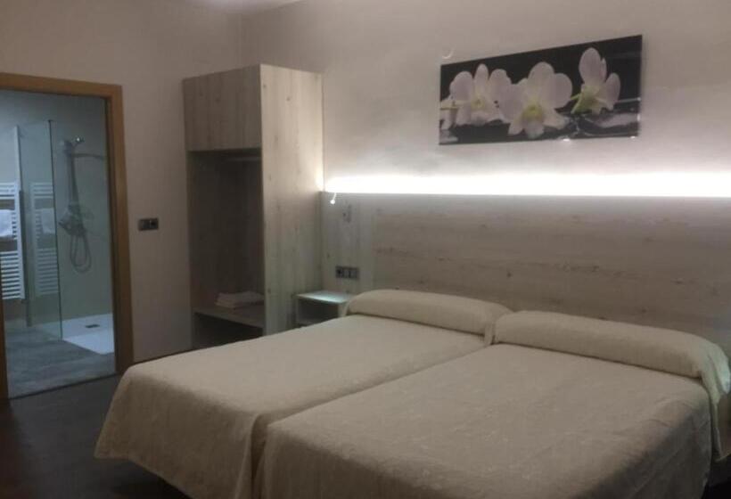 适合残疾人使用的标准间, Hostal Pirineos Ainsa