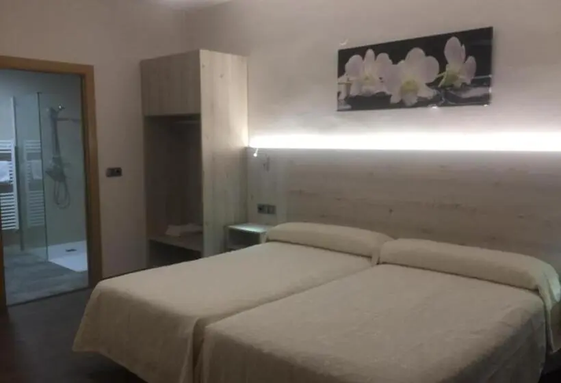 اتاق استاندارد برای معلولان, Hostal Pirineos Ainsa