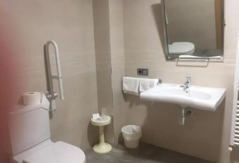 اتاق استاندارد برای معلولان, Hostal Pirineos Ainsa