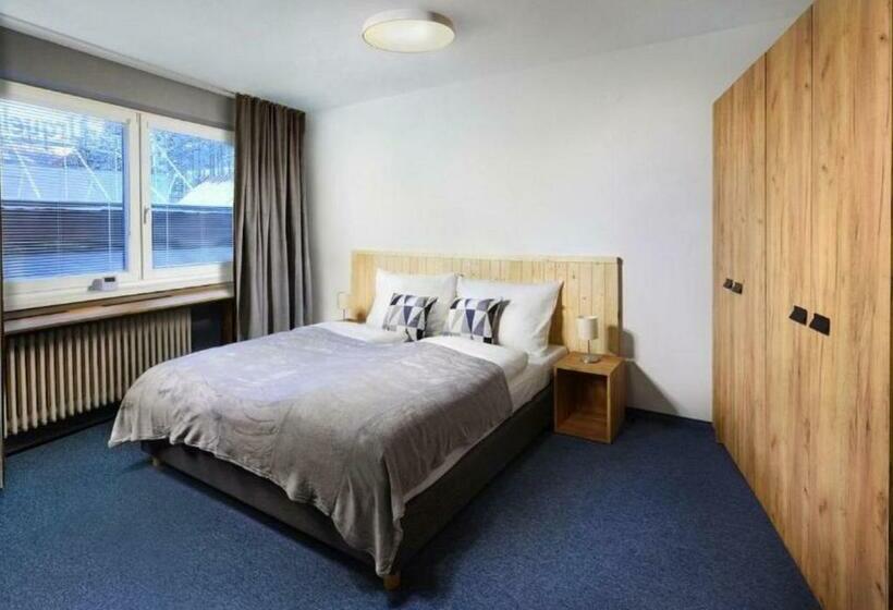 Номер Стандарт, Ski