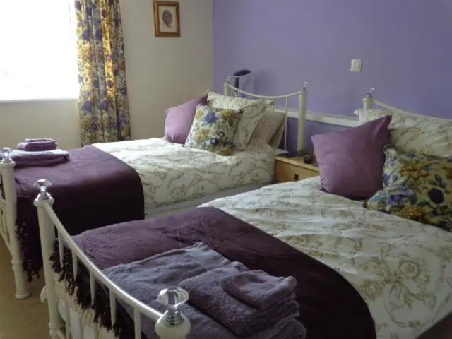 デラックスルーム, Lodge House B&b
