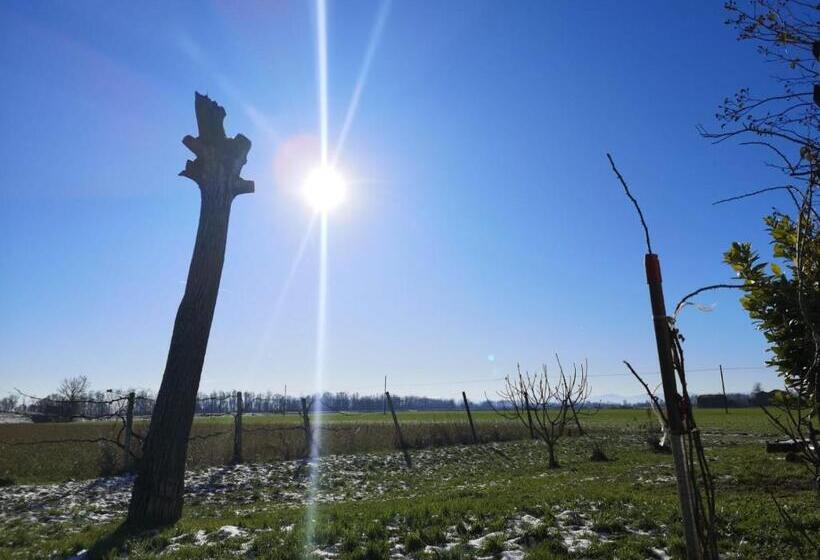 غرفة قياسية, B&b De Carol