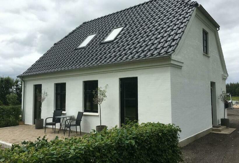 חדר סטנדרט לארבעה, Hedegaarden