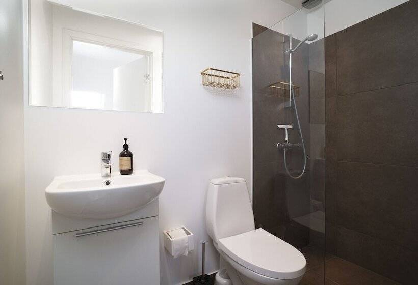 חדר סטנדרט, Hedegaarden