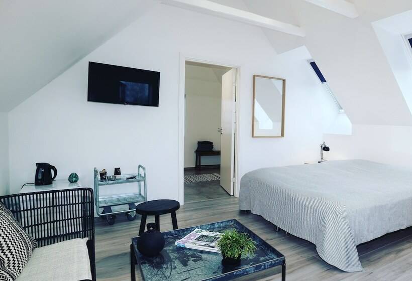 חדר סטנדרט לארבעה, Hedegaarden