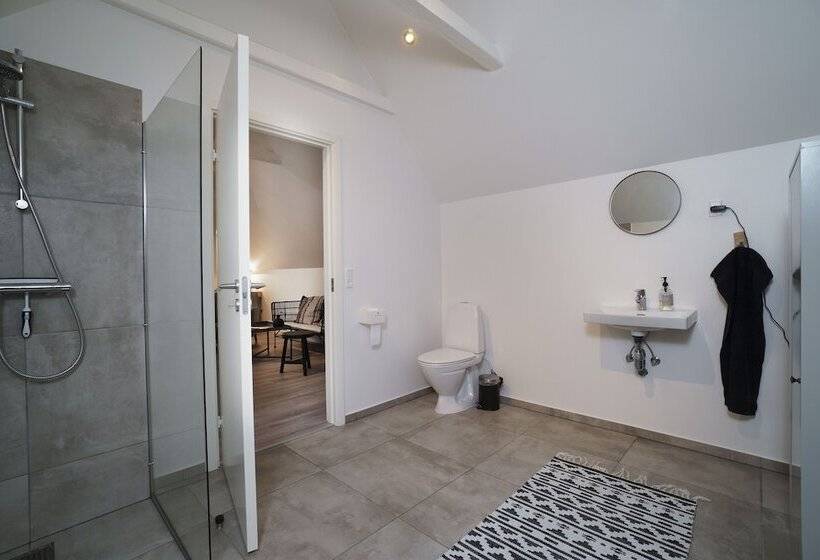 חדר סטנדרט לארבעה, Hedegaarden