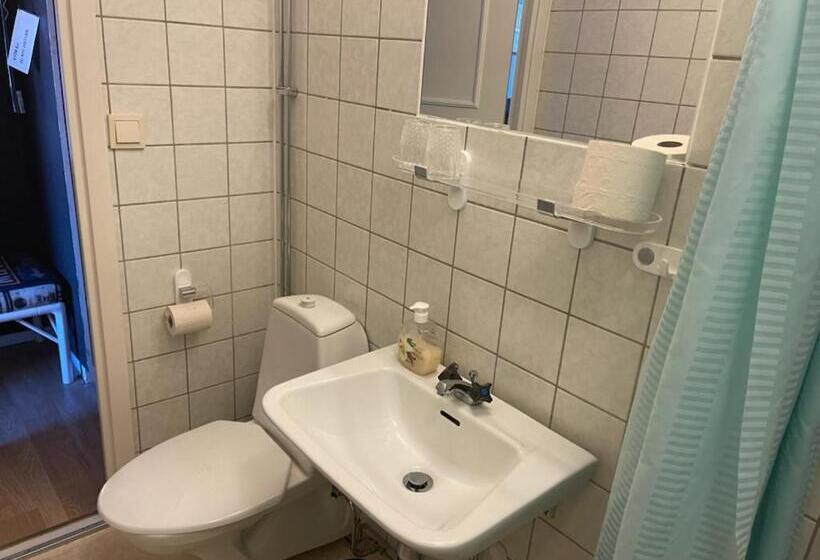 스탠다드 싱글 룸, Dentas Hotell Raivi