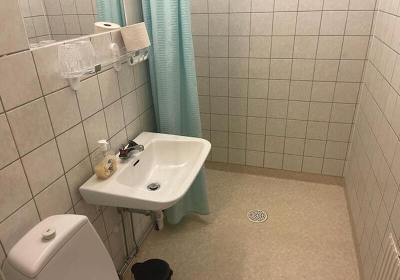 스탠다드 싱글 룸, Dentas Hotell Raivi