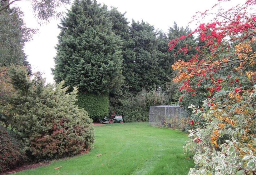 חדר סטנדרט, Newmans Hall Bed & Breakfast