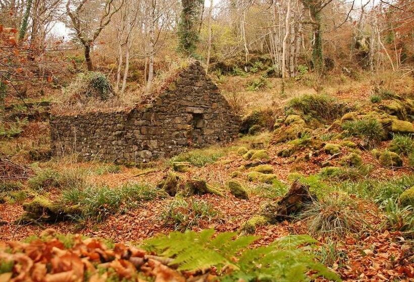 带大床的高级房间, Achnacriche B&b