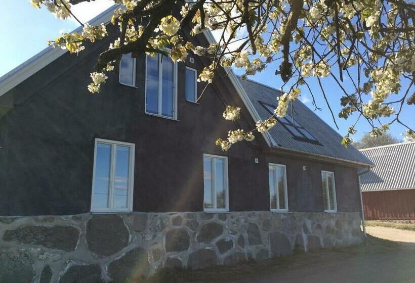 Номер Стандарт, Cocoon Meetings