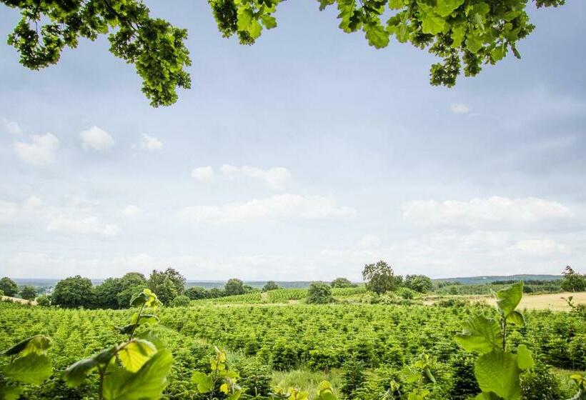 Номер Стандарт, Cocoon Meetings