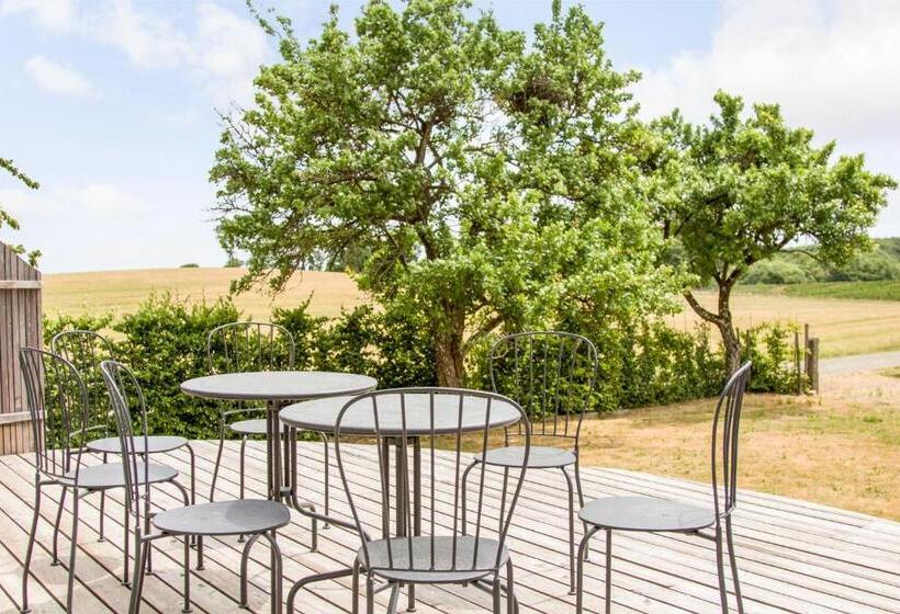 Номер Стандарт, Cocoon Meetings