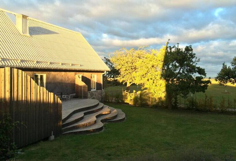 Номер Стандарт, Cocoon Meetings