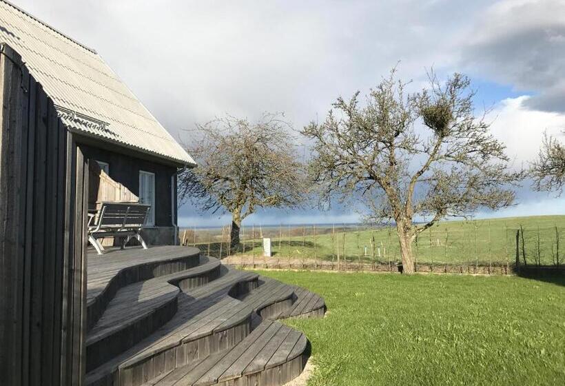 Номер Стандарт, Cocoon Meetings