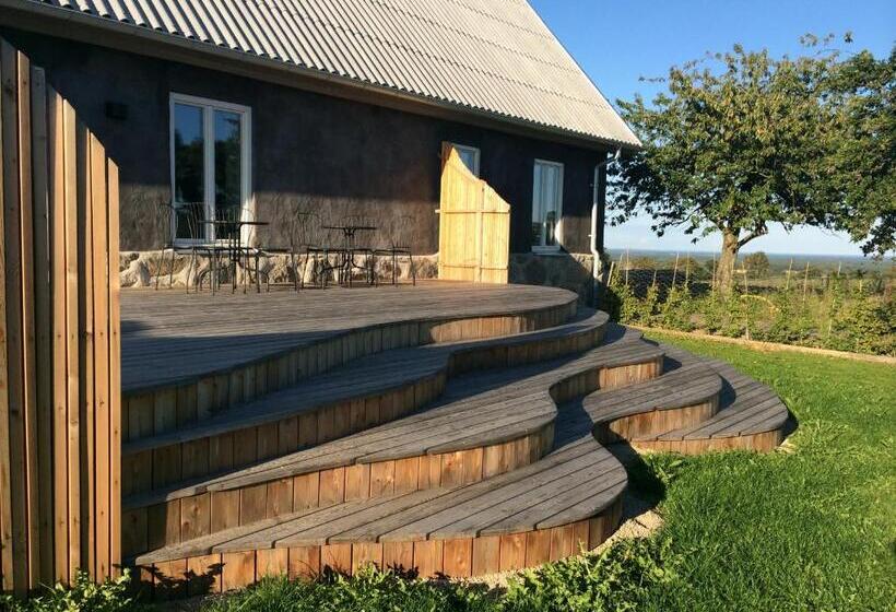 Номер Стандарт, Cocoon Meetings