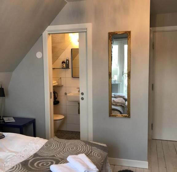 Номер Стандарт, Cocoon Meetings