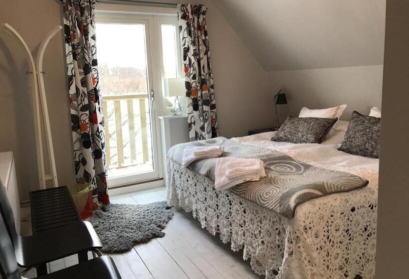 Номер Стандарт, Cocoon Meetings