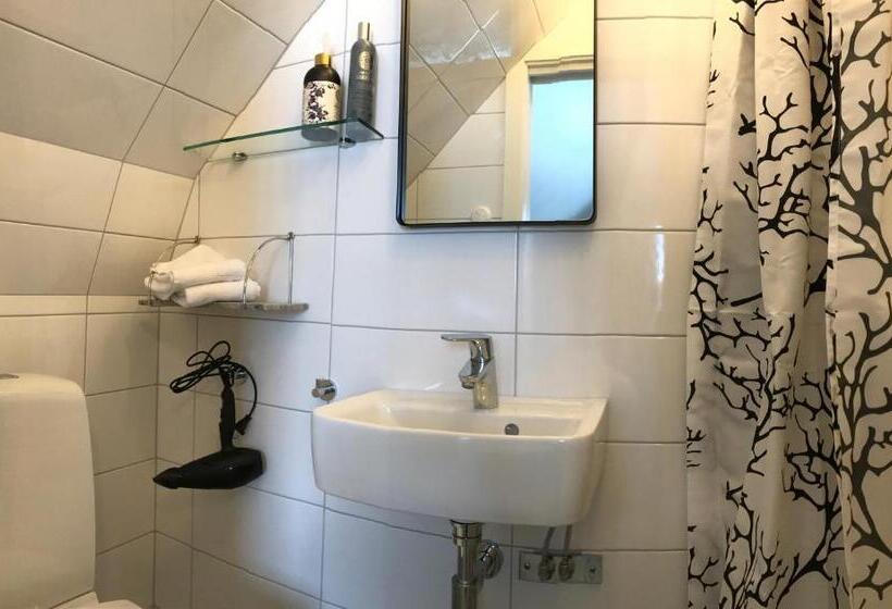 Номер Стандарт, Cocoon Meetings