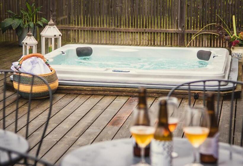 Номер Стандарт, Cocoon Meetings