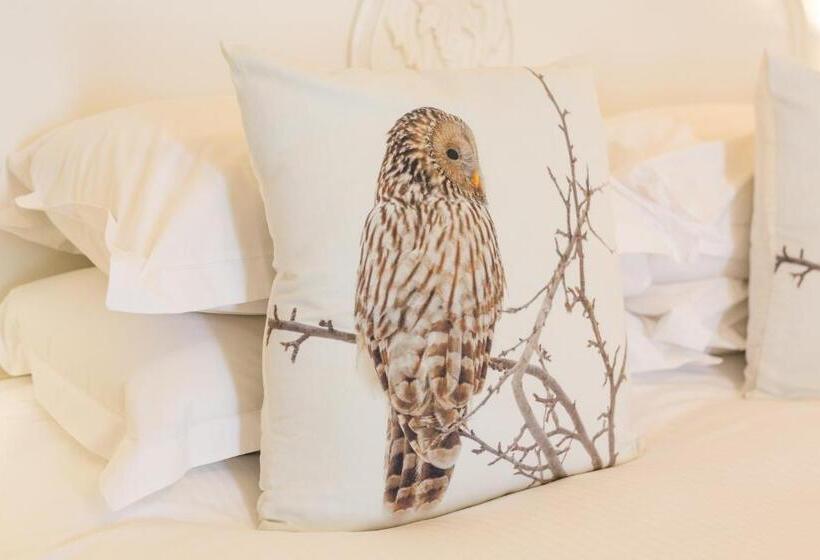 غرفة قياسية سرير كينج, Dunedin Country House