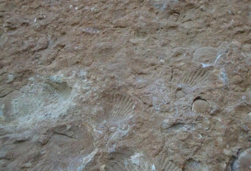 小型套房, Casa Dell' Abbondanza B&b Agriturismo