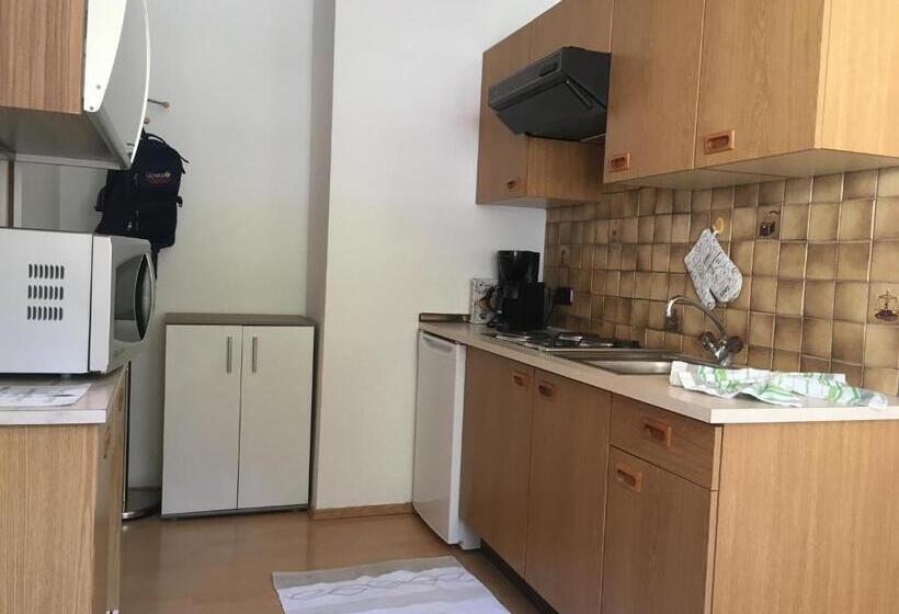 סטודיו סטנדרט עם מרפסת, Haus Lechner Apartments