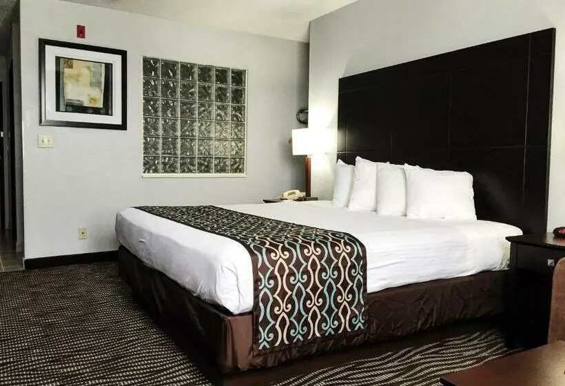 キングサイズベッドのスタンダードルーム, Best Western Executive Inn  Mount Gilead
