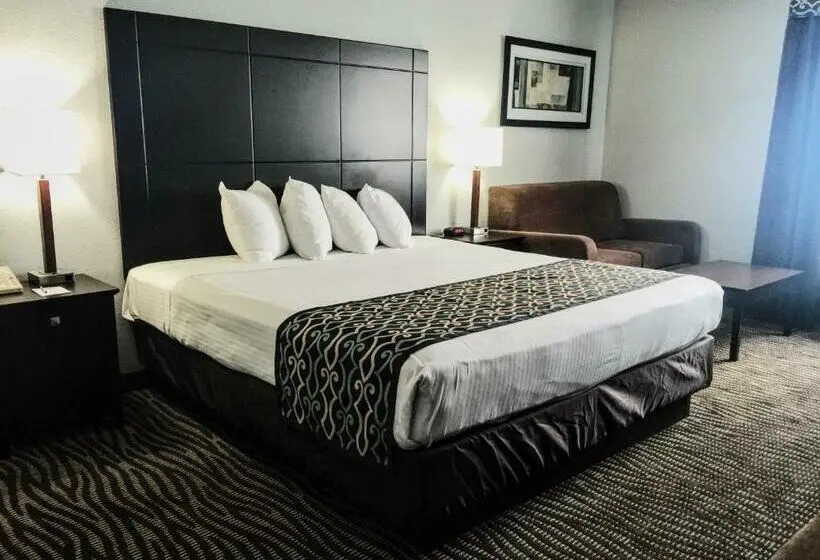 身障者適用キングサイズベッドルーム, Best Western Executive Inn  Mount Gilead