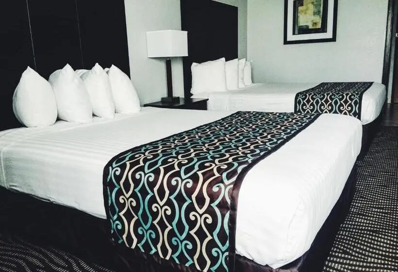 スタンダードルーム, Best Western Executive Inn  Mount Gilead