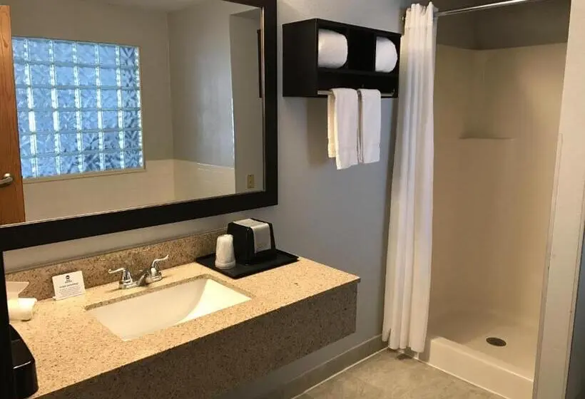キングサイズベッドのスタンダードルーム, Best Western Executive Inn  Mount Gilead