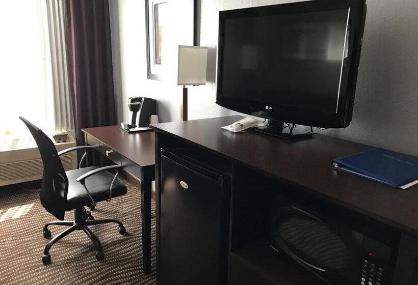 Standard Szoba King Size Bed, Best Western Executive Inn  Mount Gilead