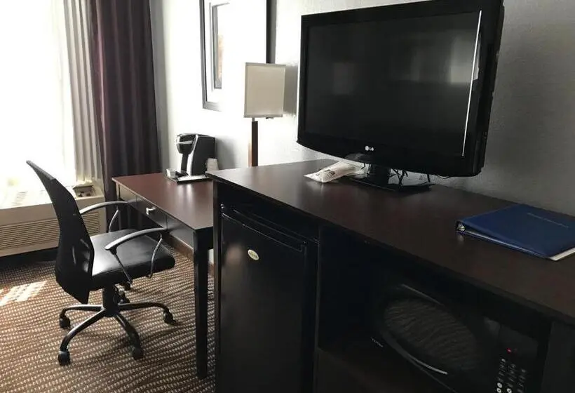 キングサイズベッドのスタンダードルーム, Best Western Executive Inn  Mount Gilead