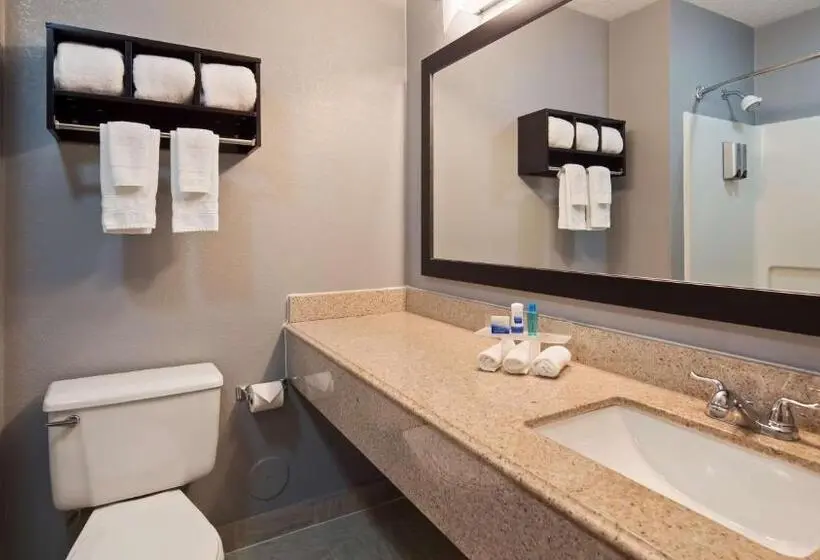 キングサイズベッドのスタンダードルーム, Best Western Executive Inn  Mount Gilead