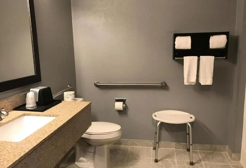 身障者適用キングサイズベッドルーム, Best Western Executive Inn  Mount Gilead