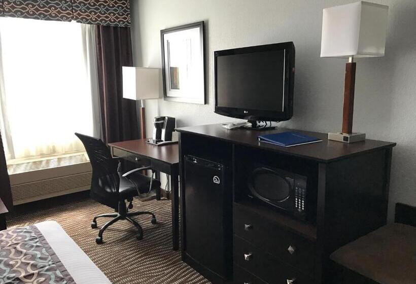 Mozgáskorlátozott Standard Szoba King Size Bed, Best Western Executive Inn  Mount Gilead