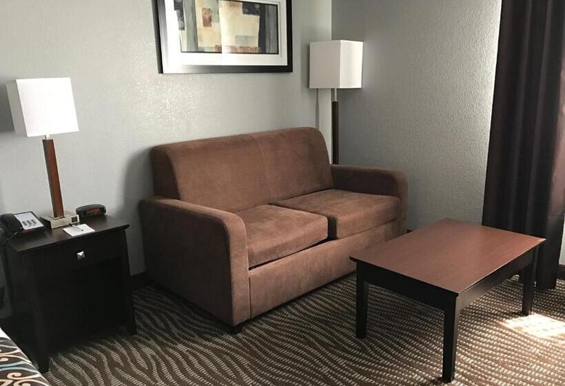 Номер Стандарт Кровать Кинг Адаптированный для Инвалидов, Best Western Executive Inn  Mount Gilead