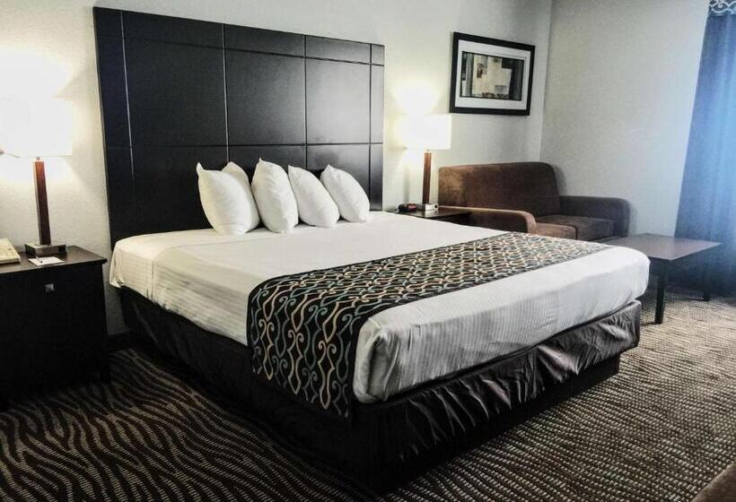 Mozgáskorlátozott Standard Szoba King Size Bed, Best Western Executive Inn  Mount Gilead