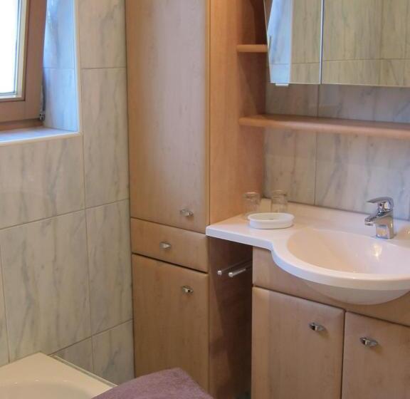 شقة غرفة واحدة مزودة بتراس, Lexhof