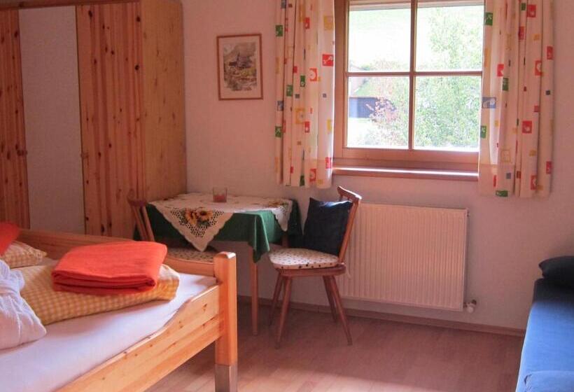 شقة غرفة واحدة مزودة بتراس, Lexhof