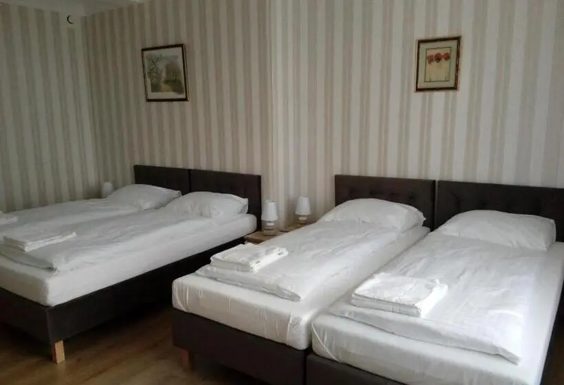 Camera Standard Cvadruplă cu Baie în Comun, Liahof