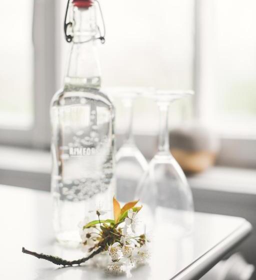 Одноместный Номер Вид на Сад, Rimforsa Strand